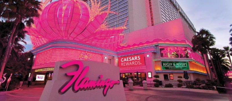 Flamingo Casino