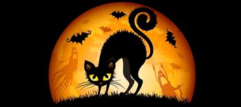 casino superstitions - black cat, ghost, bat