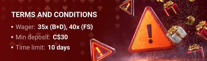 AlfCasino Terms and Conditions