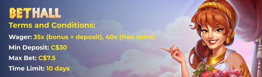 Bethall Casino Terms and Conditions