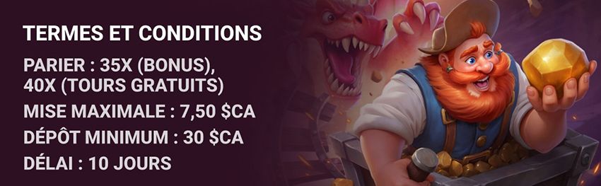 Termes et conditions du casino Dragonia