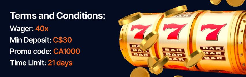 Dream.Bet Casino Terms and Conditions