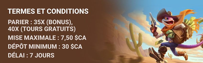 Termes et conditions du casino Lizaro