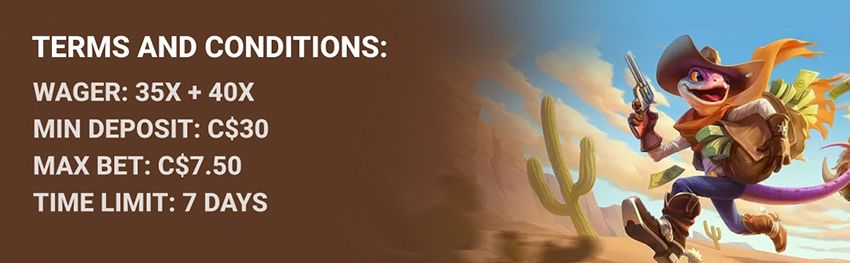 Lizaro Casino Terms and Conditions