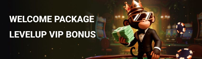 Types of Bonuses at Monkey Tilt Casino