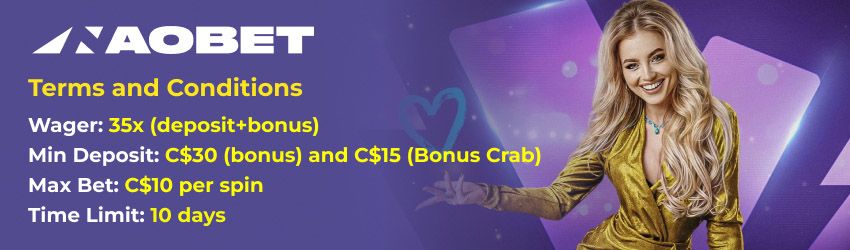 Naobet Casino Terms and Conditions