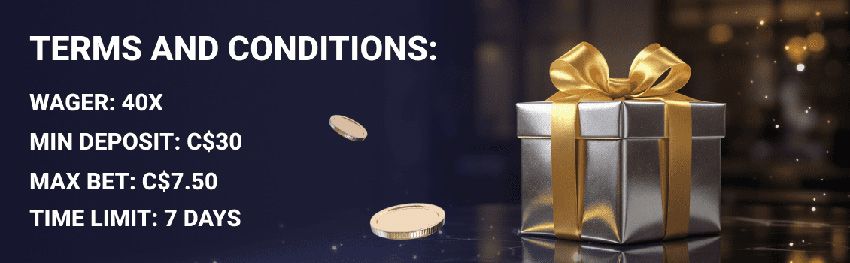 SlotLounge Casino Terms and Conditions