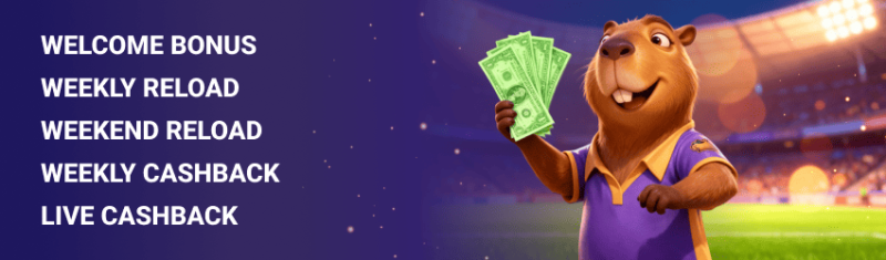 Spinbara Casino Bonuses