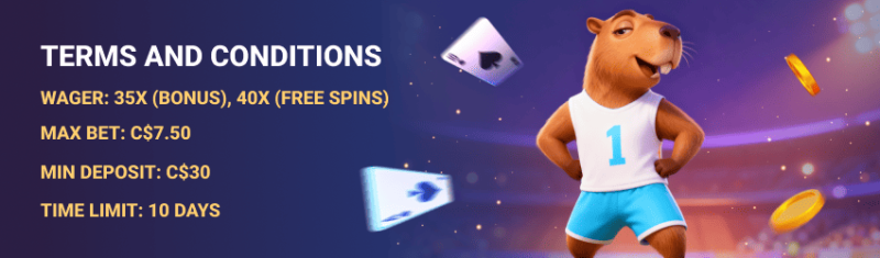 Spinbara Casino Terms and Conditions