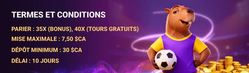 Conditions générales de Spinbara