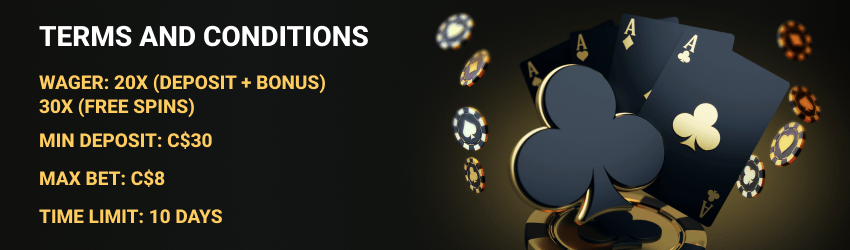 Tooniebet Casino Terms and Conditions