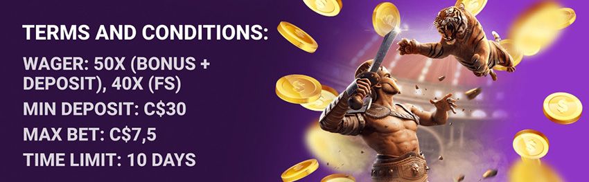 ViciBet Casino Terms and Conditions
