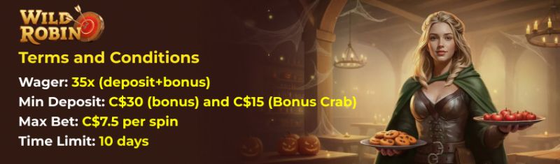 Wild Robin Casino Terms and Conditions