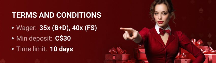 Wyns Terms and Conditions