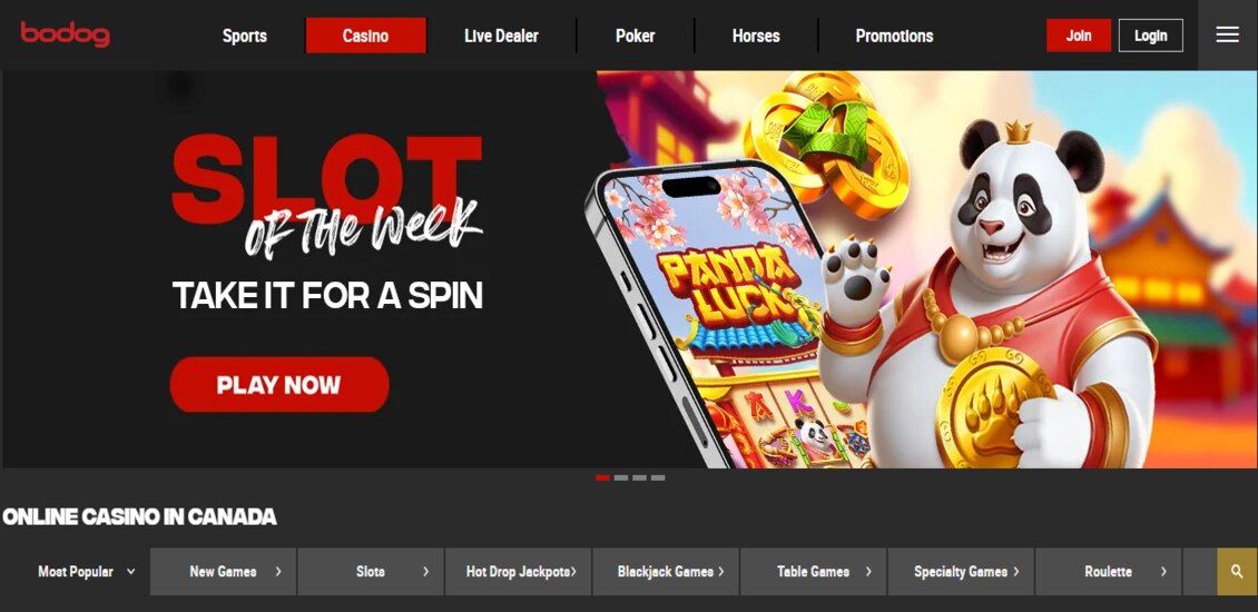 Bodog Casino main page