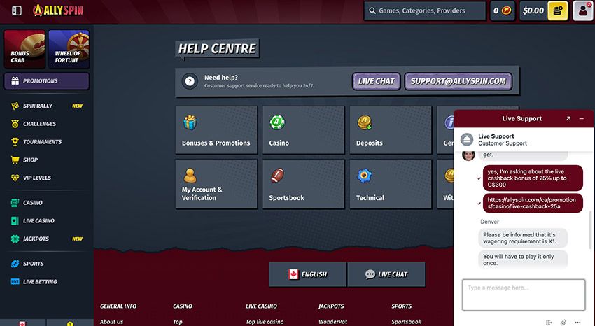 Screenshot of the live chat with AllySpin Casino support.