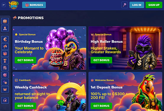 Page des promotions du casino Birdspin
