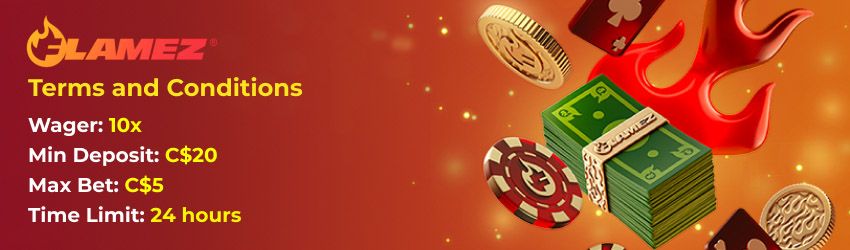 Flamez Casino Terms and Conditions