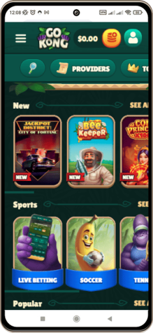 Mobile Screenshot of GoKong Casino