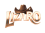 Lizaro Casino logo
