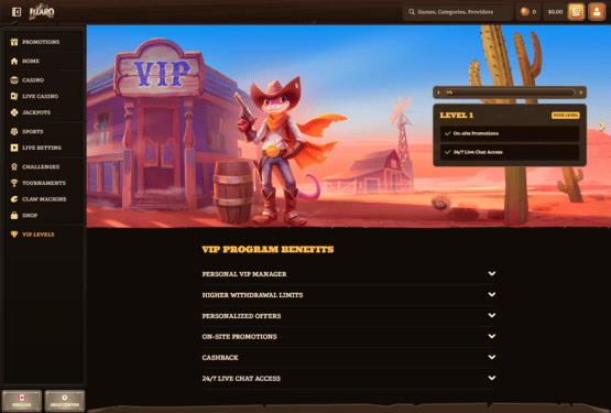 Lizaro casino vip page