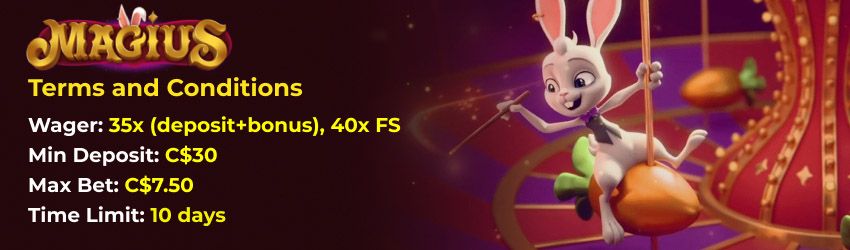 Magius Casino Terms and Conditions