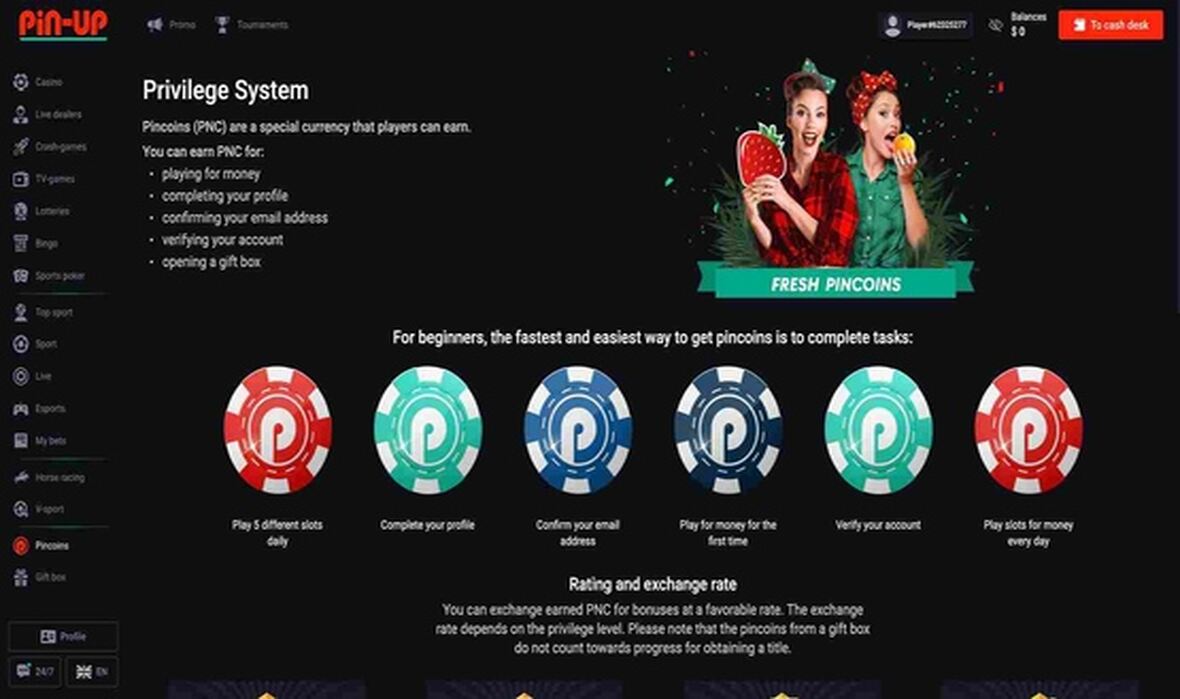 Pin-Up casino vip page