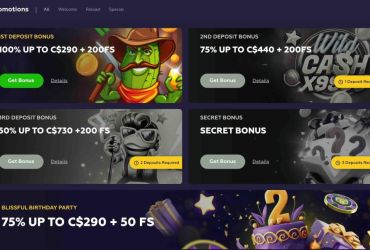 Playfina casino promotions