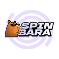 logo spinbara