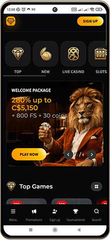 Wild Chance Casino Mobile Screenshot
