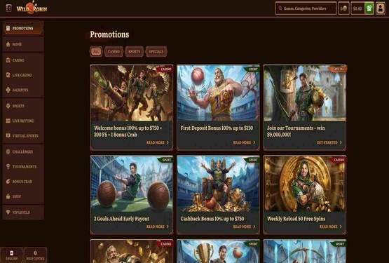 Page des promotions du casino Wild Robin