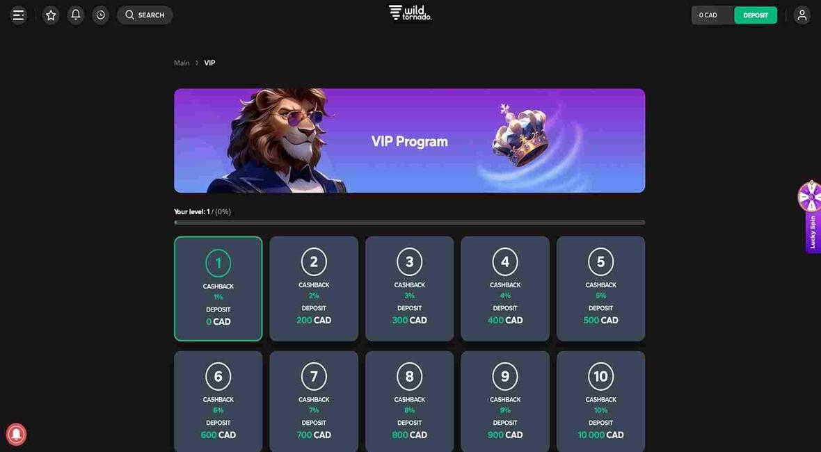 Image of Wild Tornado Casino page about VIP program