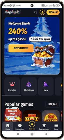 Mobile Screenshot of Winshark Casino