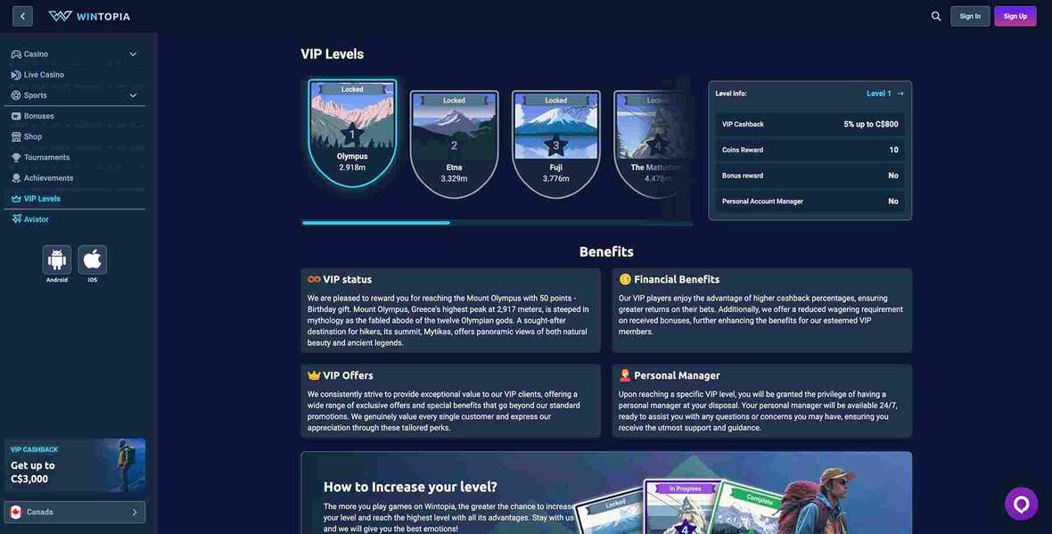 Wintopia casino vip page