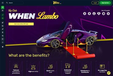 Winz VIP page