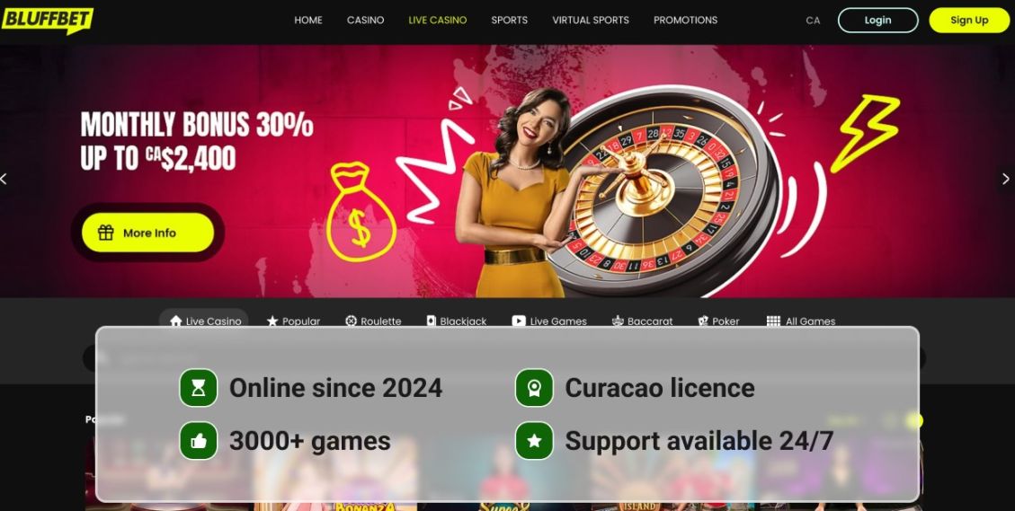 Image highlighting basic information about Bluffbet Casino