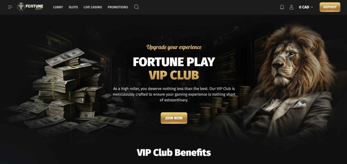 Image of FortunePlay Casino page about VIP program