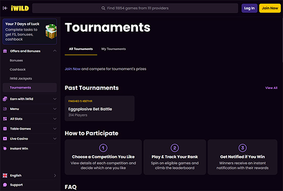 iWild Casino - slots