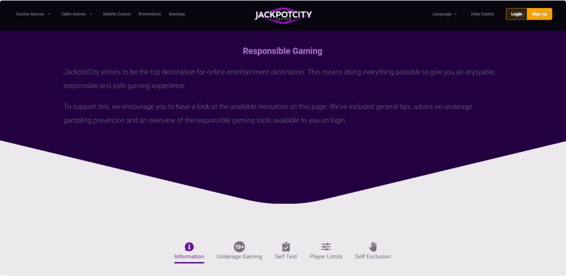 JackpotCity Casino page about responsible game