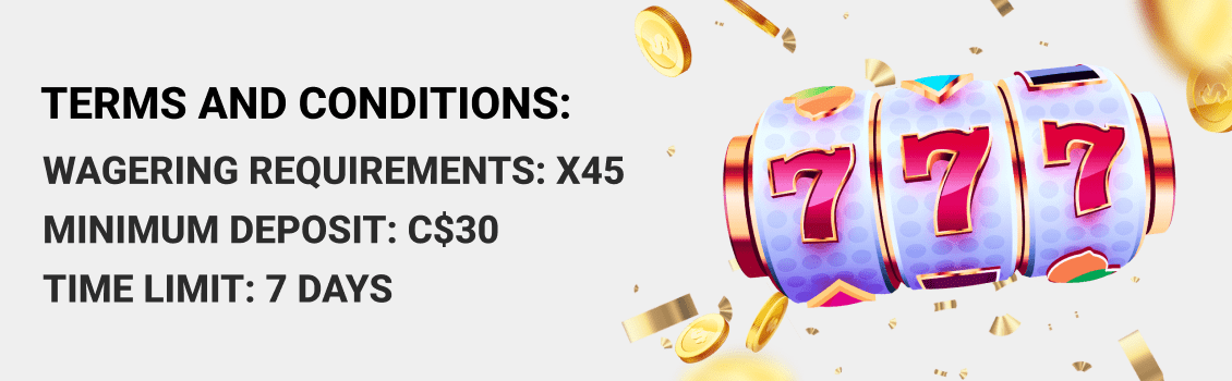 Playbet Casino Bonuses Terms and Conditions