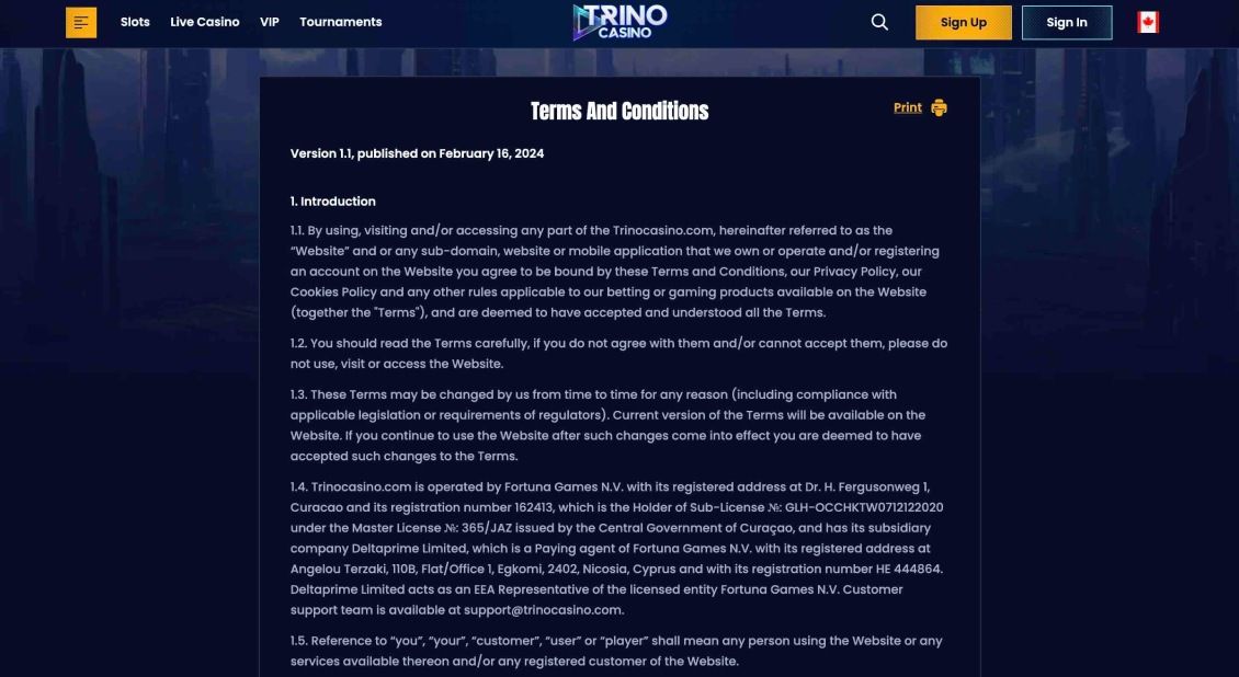 Image of Trino Casino Terms and Conditions page