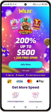 Wildz Casino Site on the Mobile Screen