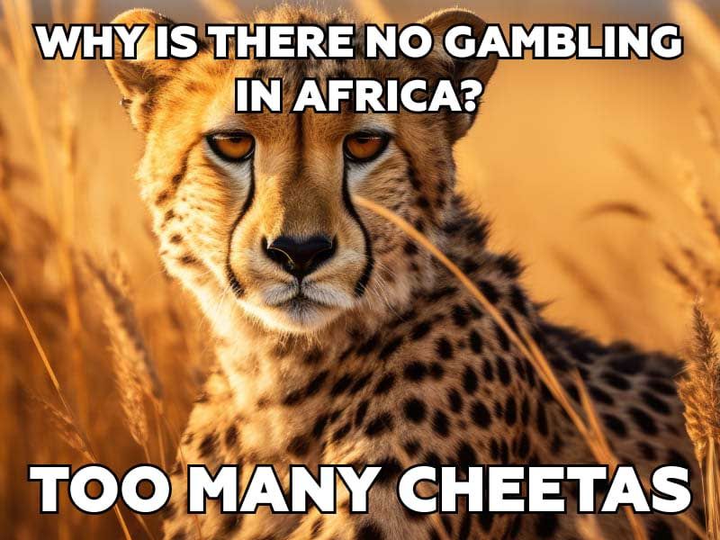 Bad Joke Eel – Why is there no gambling in Africa