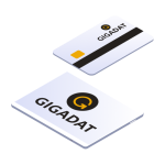 General Information About Gigadat