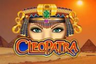 Cleopatra avis