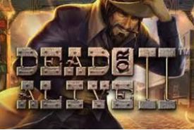 Dead or Alive 2 Online Slot Logo