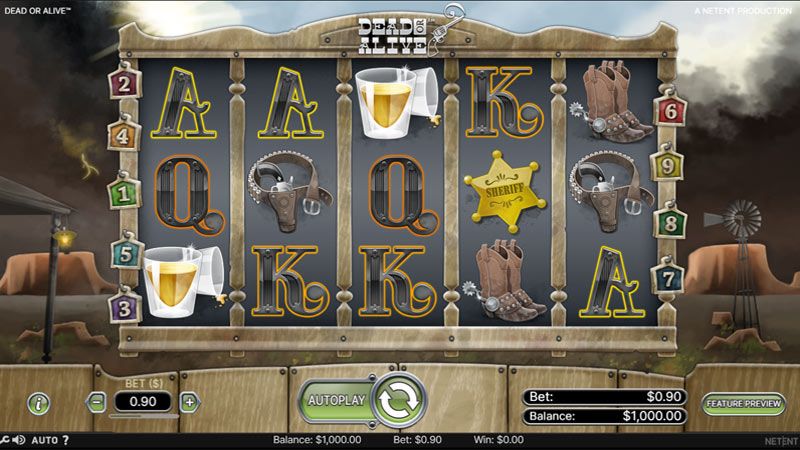 Dead or Alive Slot Interface