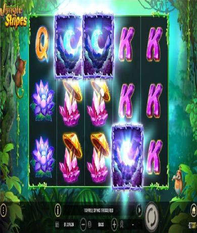 Play in Jungle Stripes Slot: Review, Free Play in Demo Mode for free now | CasinoCanada.com