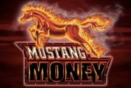 Mustang Money Review