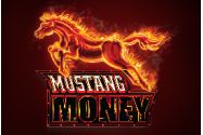 Mustang Money avis